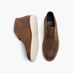 [S] Scout | Safari - Image 5